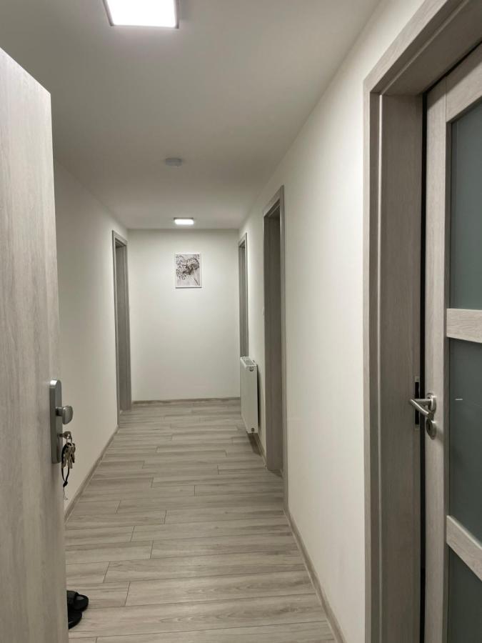 Apartament Cheb Kültér fotó